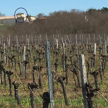 Superbe gîte à la campagne dans le bordelais Saint-Vivien-de-Blaye Extérieur photo