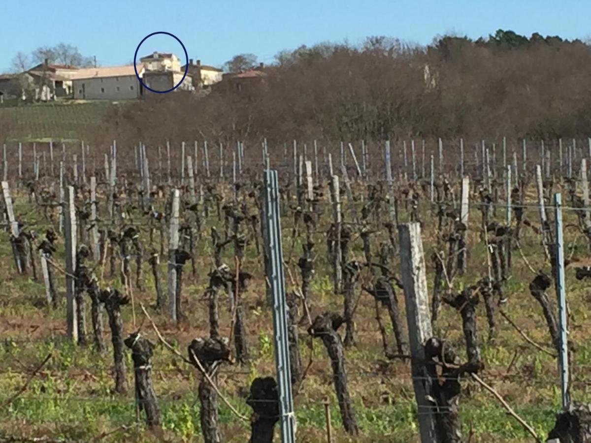 Superbe gîte à la campagne dans le bordelais Saint-Vivien-de-Blaye Extérieur photo